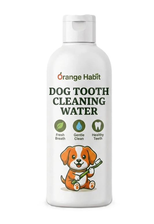 Dog Dental