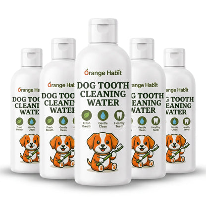 Dog Dental